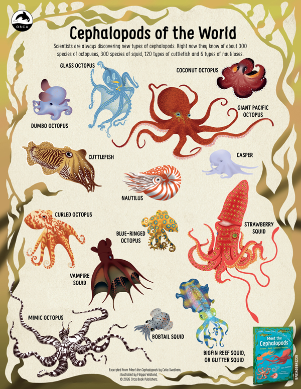 Chimiigwech Activity