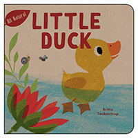 Little Duck
