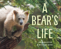 A Bear's Life