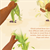 Corn & Tortillas