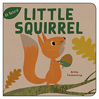 Little Squirrel