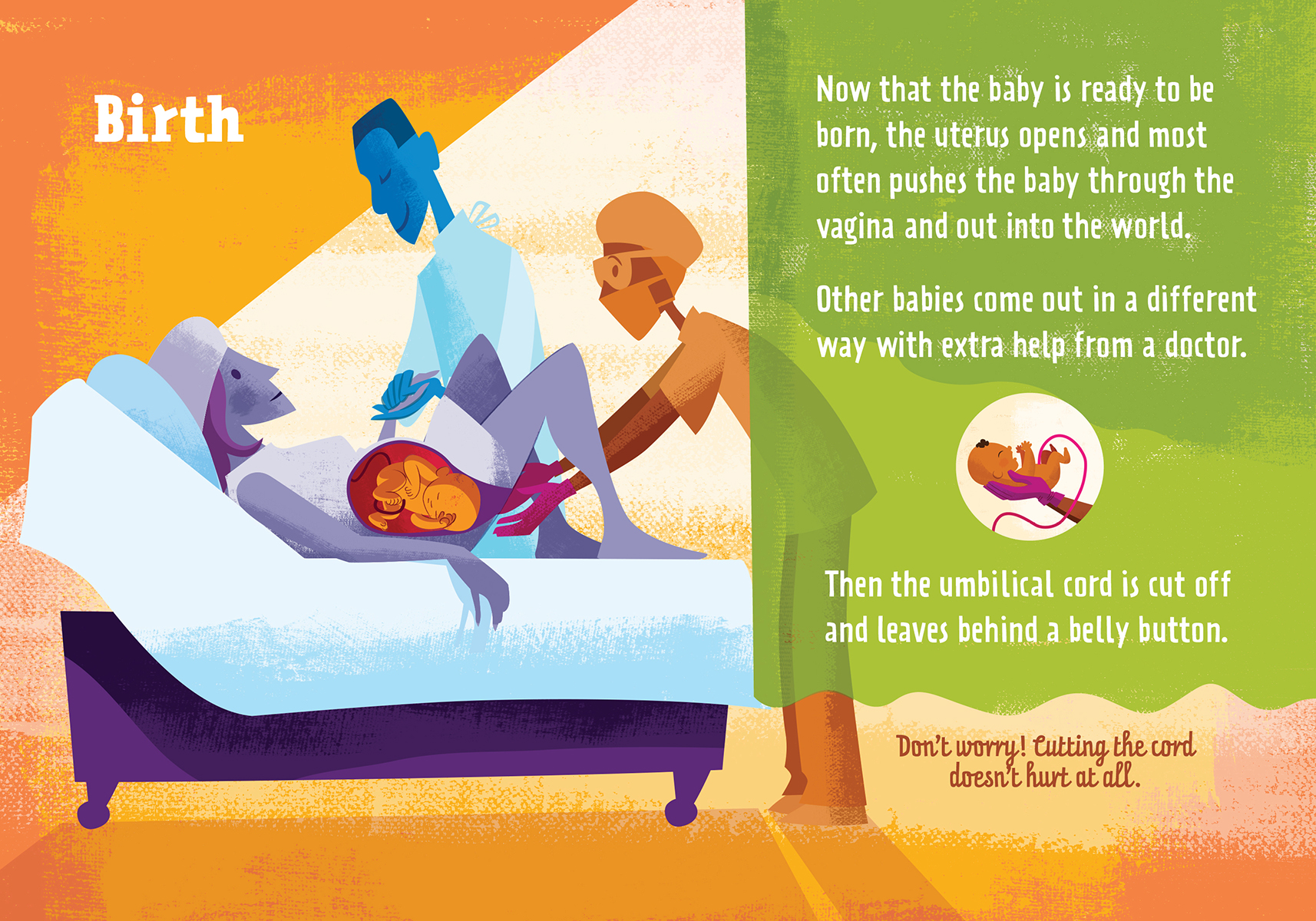 The Science of Babies