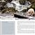 Great Bear Rainforest