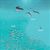 Down in the Blue Ocean