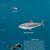 Down in the Blue Ocean