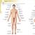 Le Dictionnaire visuel +
