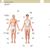 Le Visuel pratique