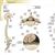 Le Dictionnaire visuel multilingue